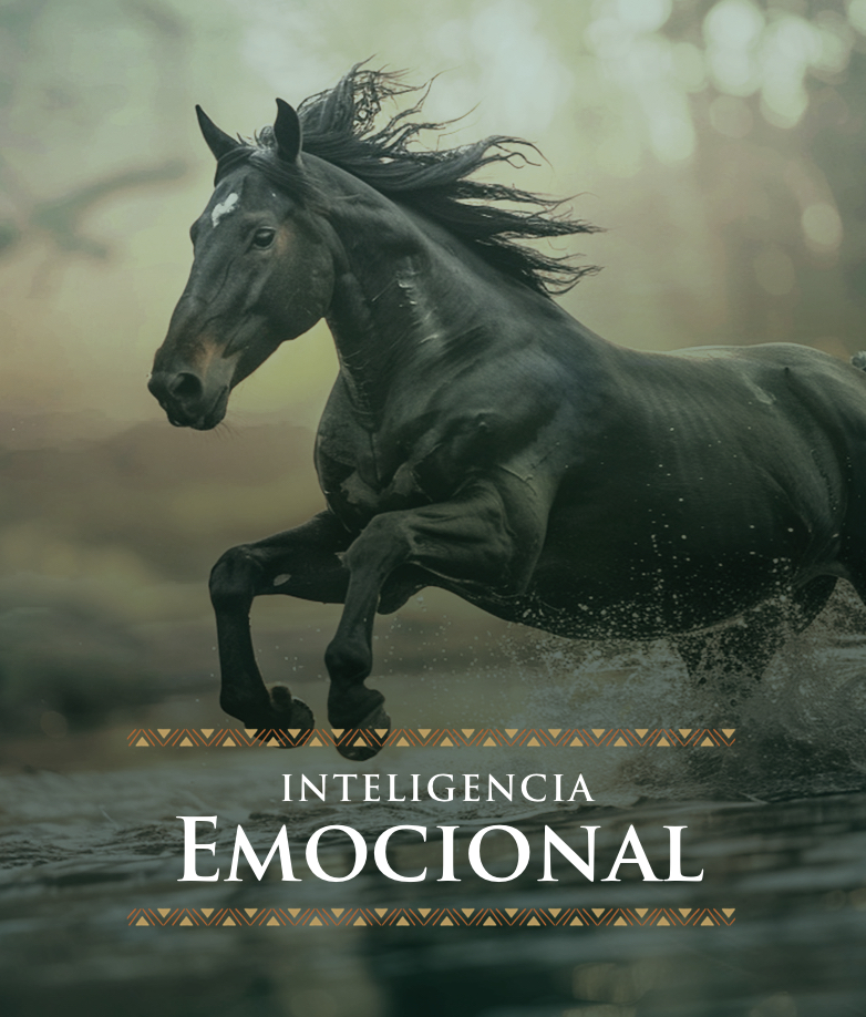 Inteligencia Emocional