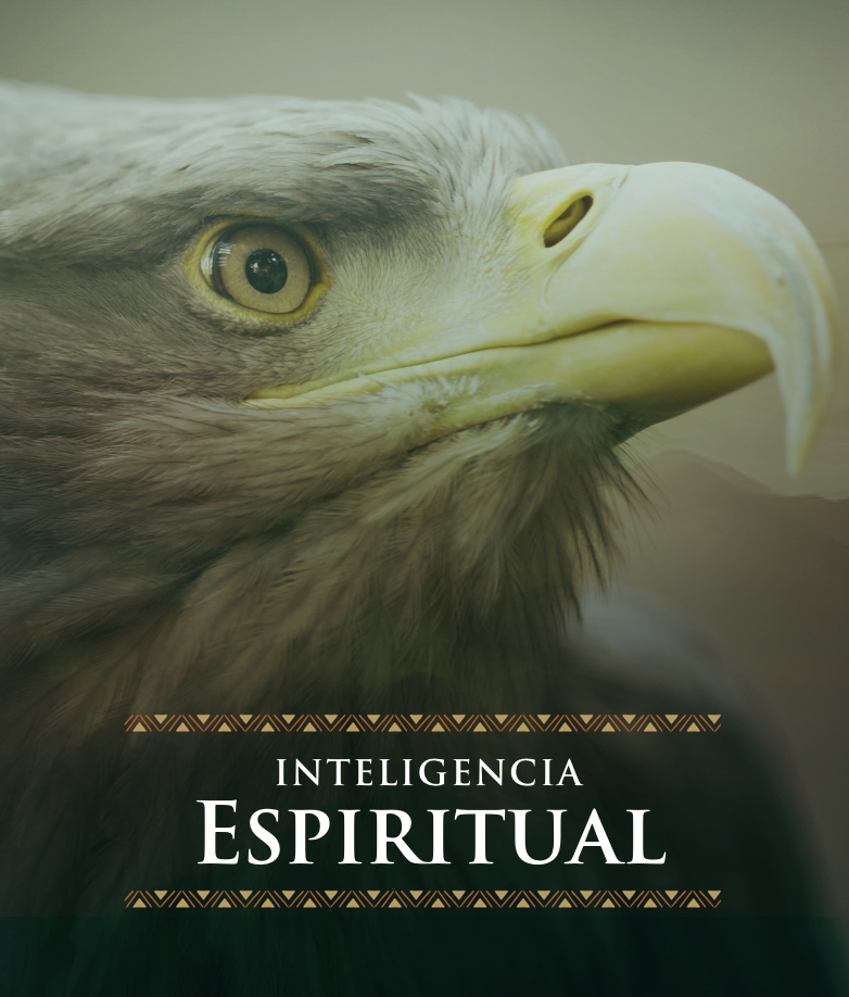 Inteligencia Espiritual