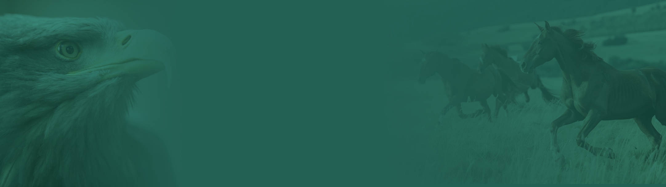 Fondo Educación Espiritual